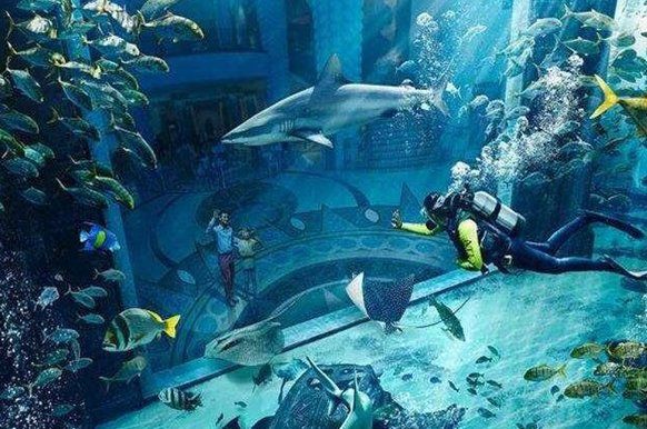 開水族店需要什么條件，加盟星開水族店需要什么證件加盟星開水族店需要辦什么證件