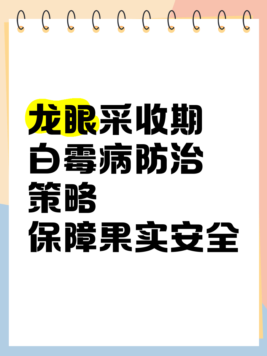 如何判斷龍眼是否感染白霉病？，判斷龍眼是否感染白霉病需綜合觀察外觀、質(zhì)地與氣味