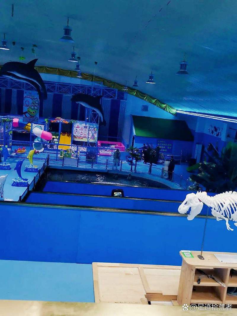 濮陽縣水族店，濮陽縣多家特色水族店濮陽海洋館n刷攻略足跡拾荒者
