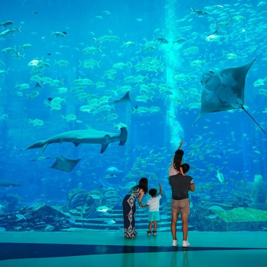 海南州水族店，三亞亞特蘭蒂斯水族館門票價格及游玩攻略通山權威新聞網