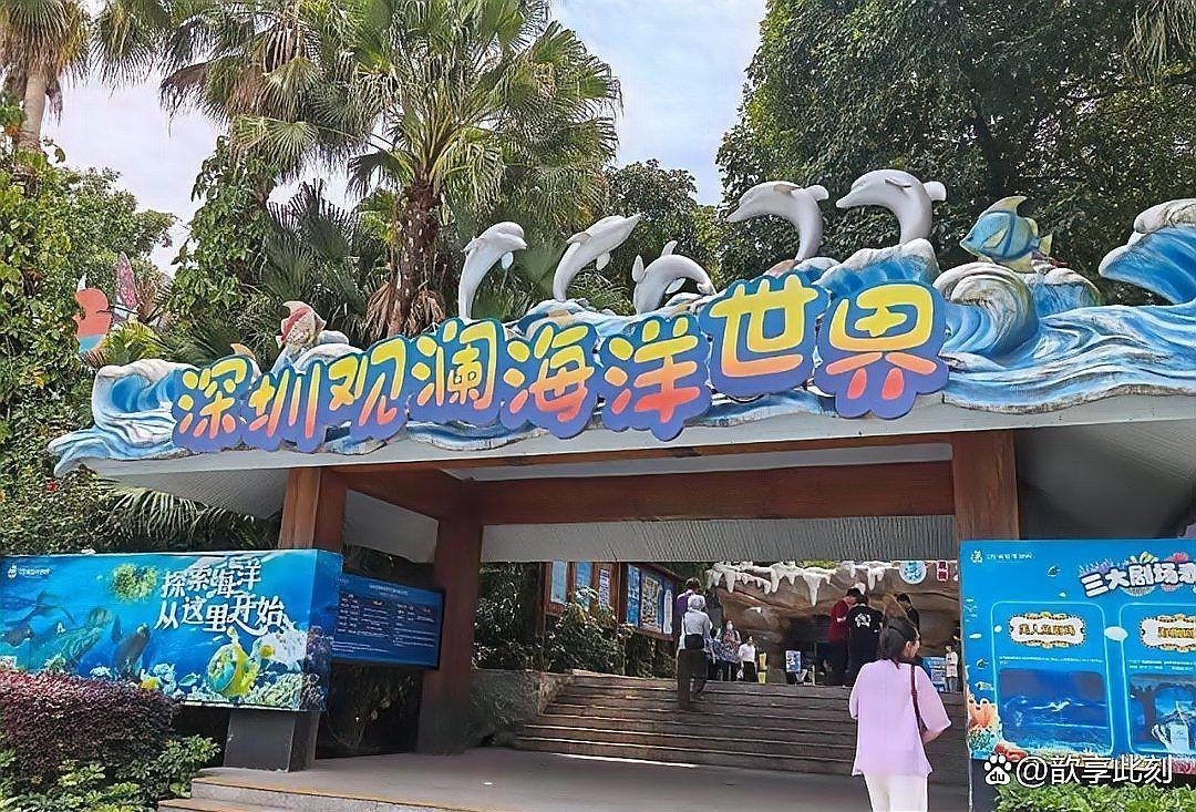 深圳水族店，深圳寵尚居水族店