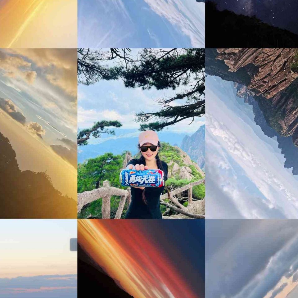 深圳水族店，深圳寵尚居水族店