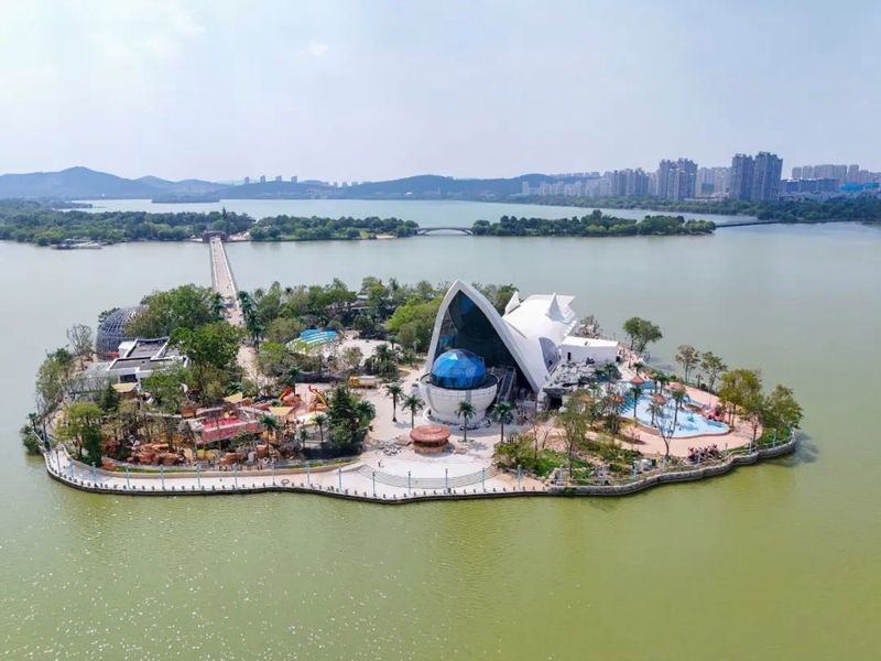 云龍水族店，徐州云龍水族店有哪些特色產(chǎn)品瘋狂水草的聯(lián)系方式 云龍水族店，徐州云龍水族店有哪些特色產(chǎn)品瘋狂水草的聯(lián)系方式 全國水族館企業(yè)名錄 第1張