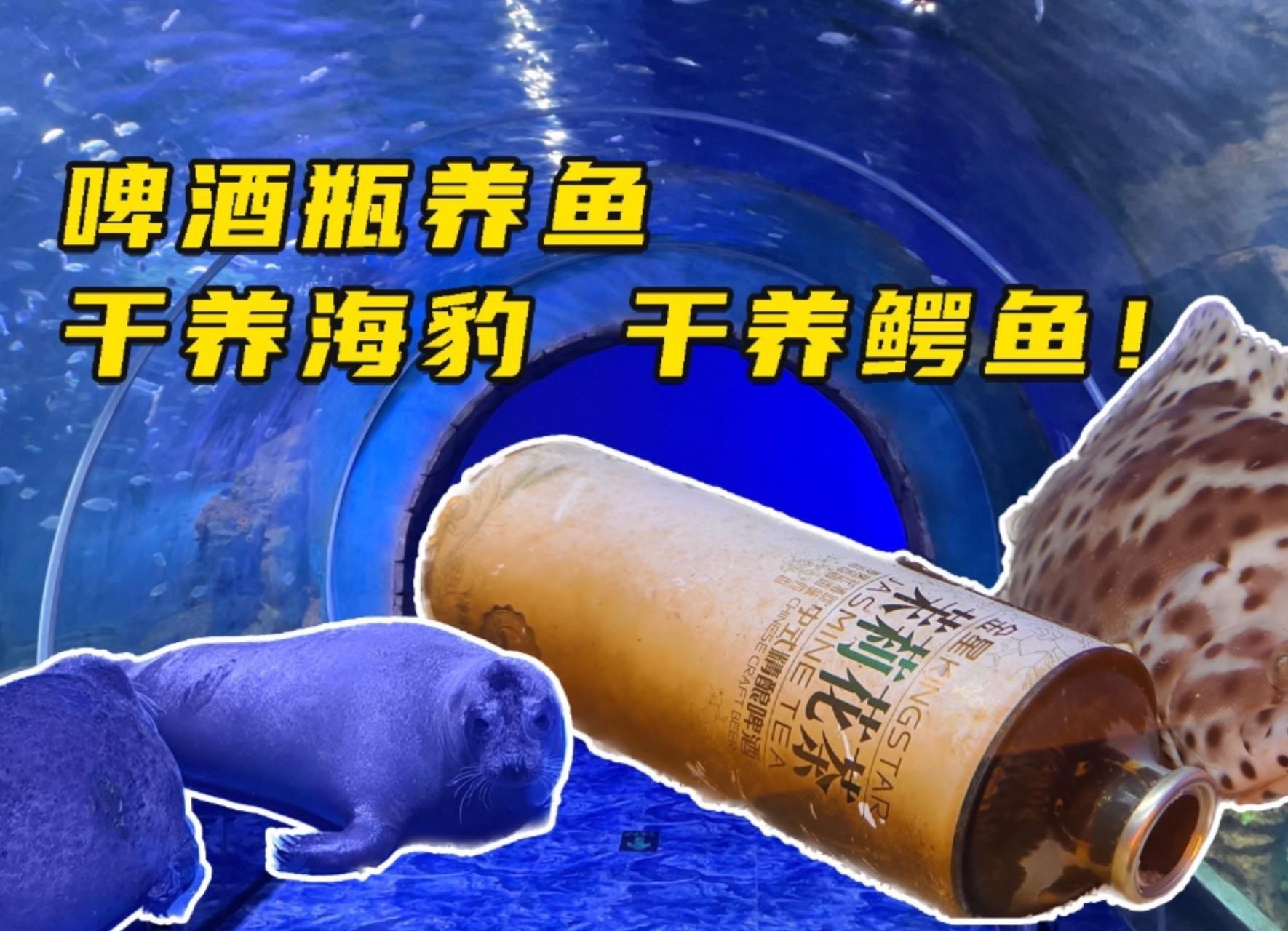 漯河水族店，探秘漯河海洋館:開啟海底世界的奇幻之旅
