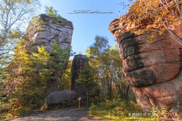 湯旺河水族店，伊春湯旺河水族店