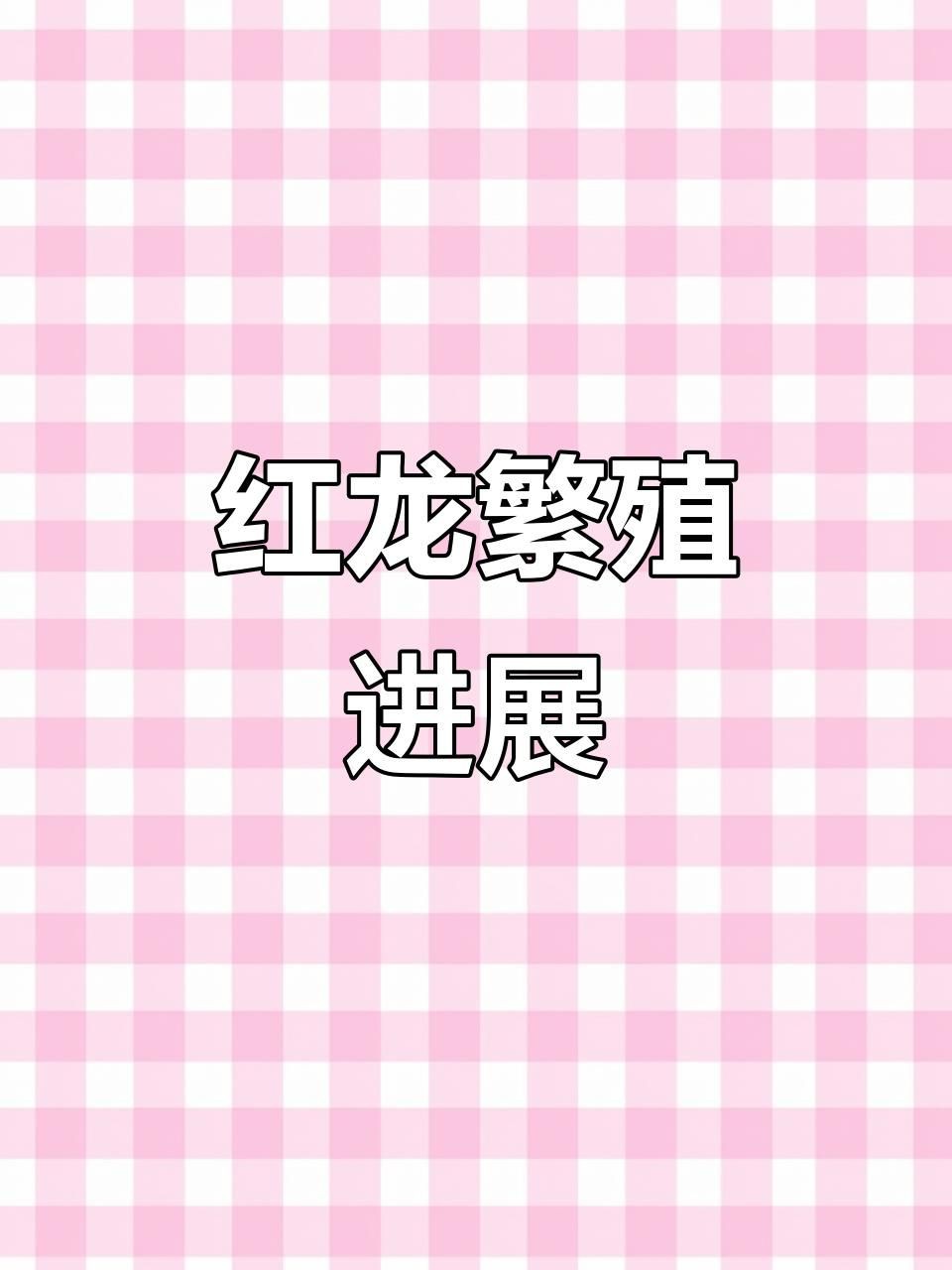 紅龍魚的人工繁殖技術如何？，紅龍魚的人工繁殖技術