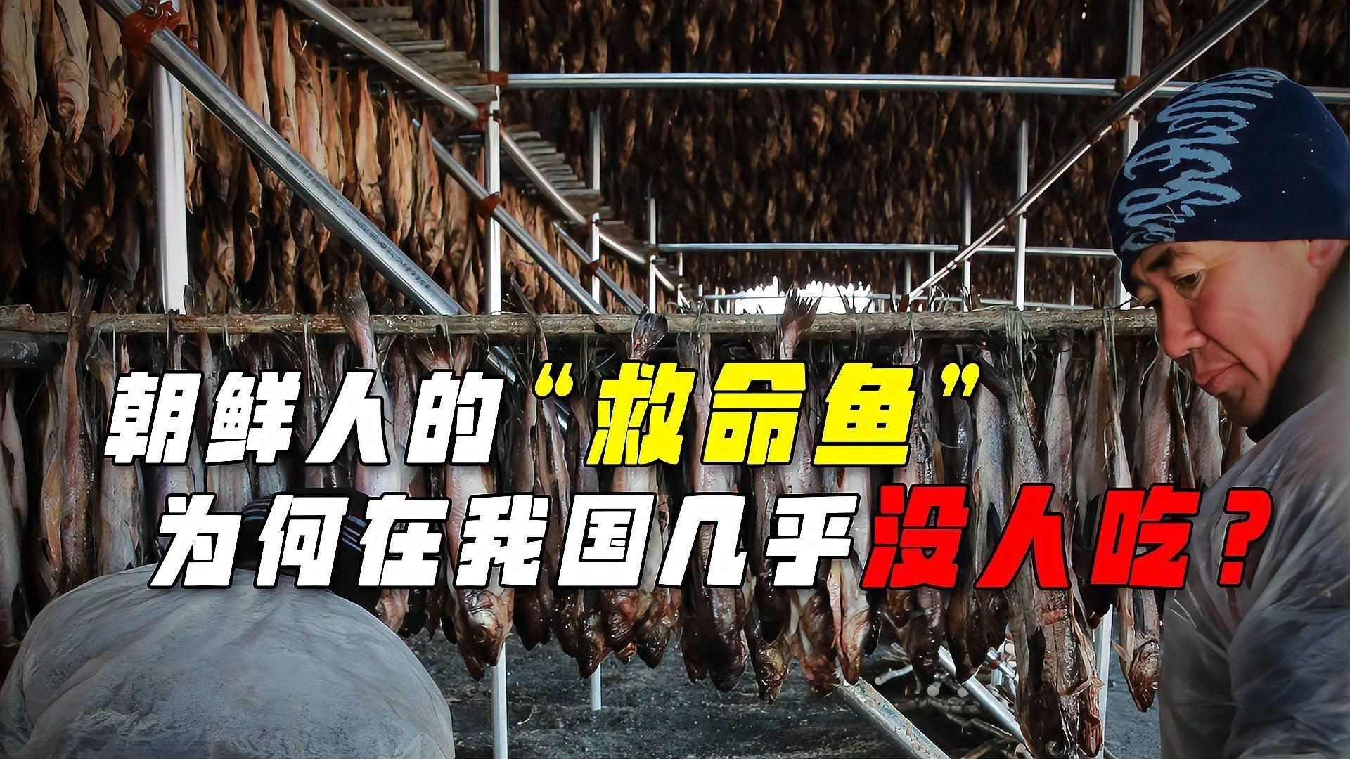 明太魚在中國叫什么魚，東北明太魚是什么魚西蘭花閣下明太魚是什么魚西蘭花閣下