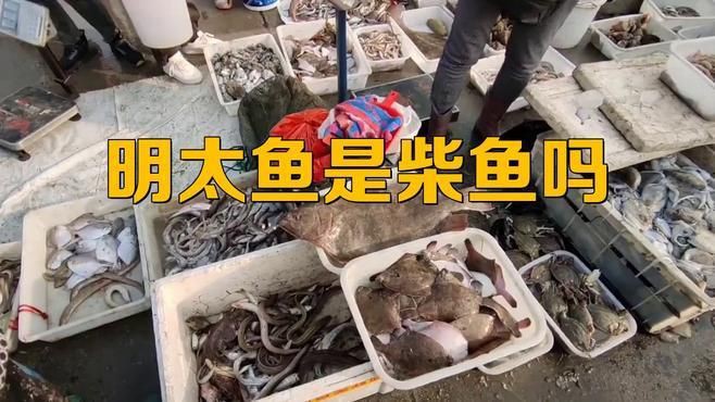 明太魚在中國叫什么魚，東北明太魚是什么魚西蘭花閣下明太魚是什么魚西蘭花閣下