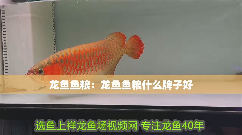 浙江水族店，浙江省內水族館分布廣泛且經營內容豐富多樣