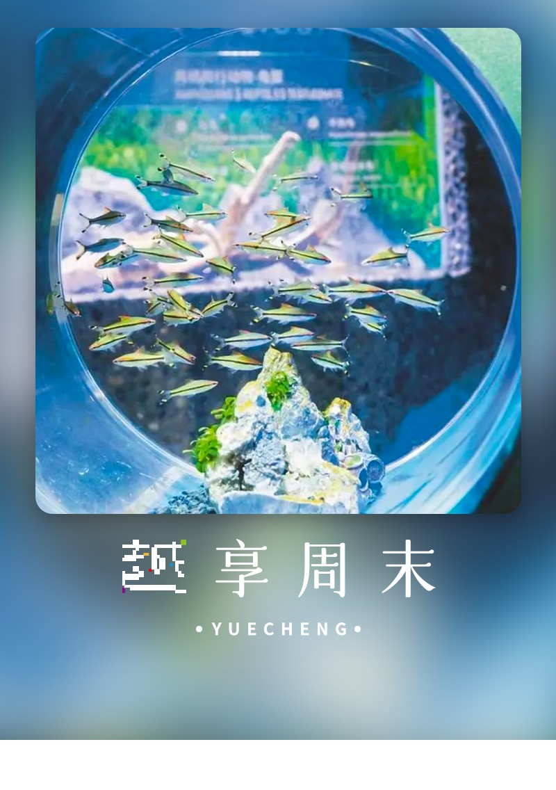 浙江水族店，浙江省內水族館分布廣泛且經營內容豐富多樣