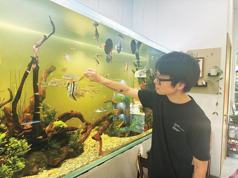 浙江水族店，浙江省內水族館分布廣泛且經營內容豐富多樣