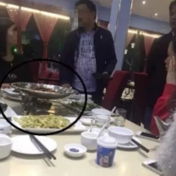 桂林龍魚(yú)店，桂林天價(jià)魚(yú)推薦