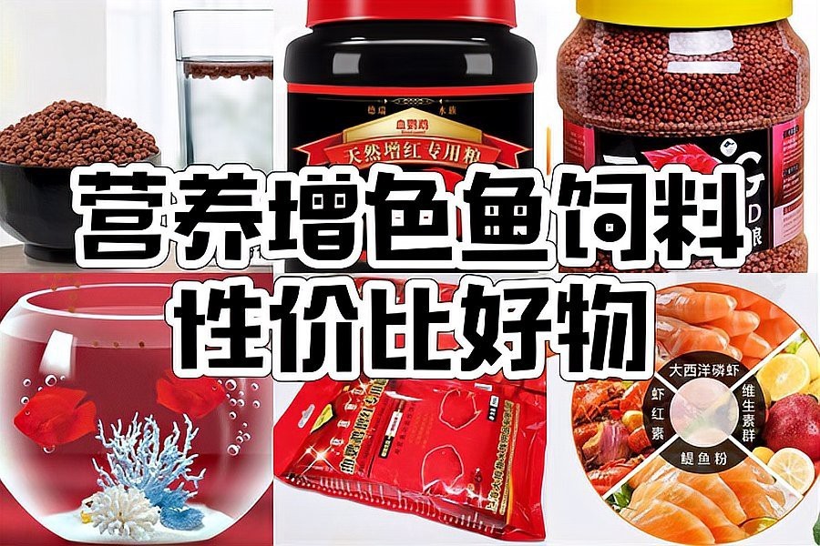 仟湖鸚鵡魚飼料怎么樣，仟湖傲深系列鸚鵡魚飼料配方設(shè)計**專利配方 仟湖鸚鵡魚飼料怎么樣，仟湖傲深系列鸚鵡魚飼料配方設(shè)計**專利配方 龍魚論壇 第8張