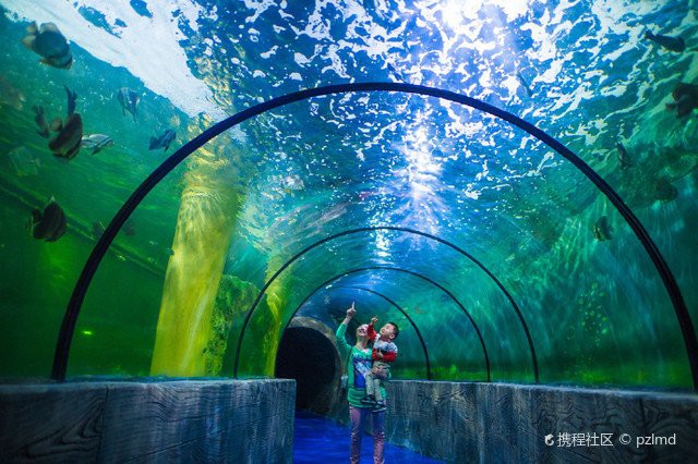 樊城水族店，樊城水族店哪家口碑好