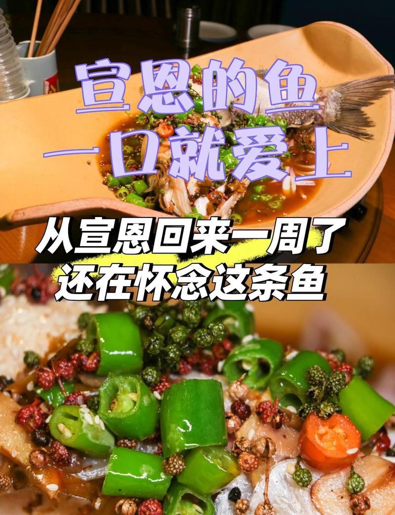 <strong><mark>宣恩</mark></strong>水族店，如何開設(shè)一家成功的<strong><mark>宣恩</mark></strong>水族店