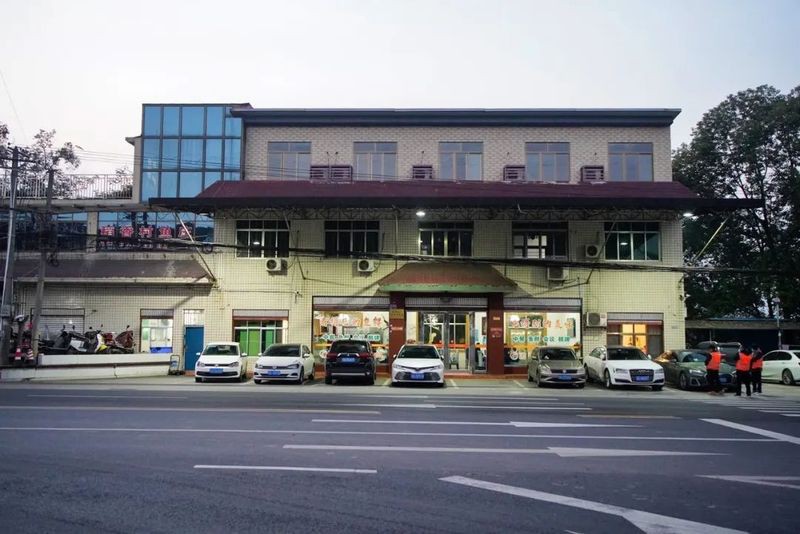 津市龍魚店，津市的龍魚店