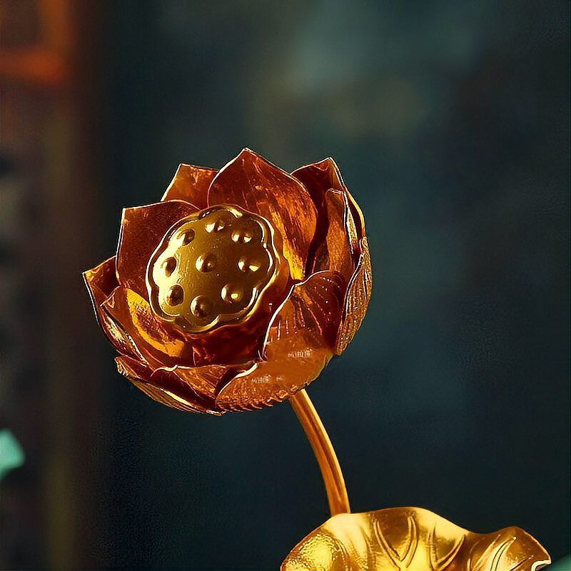 佛教談科比因果，佛教的因果論