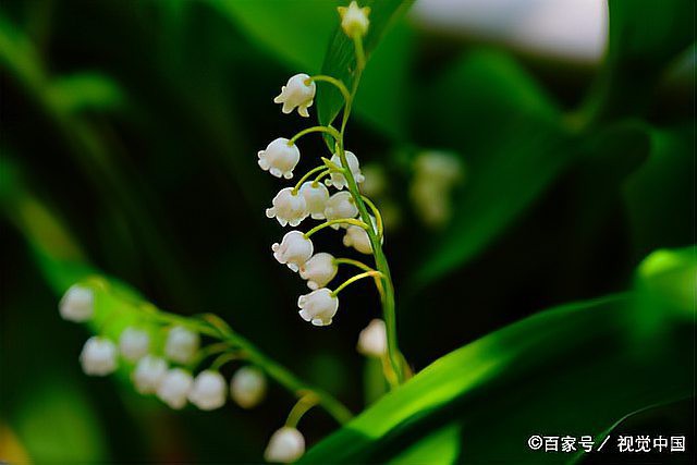 佛教談科比因果，佛教的因果論