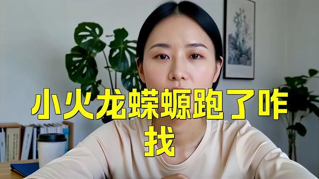 小火龍爬出后如何找到它？，小火龍爬出后的找尋問題
