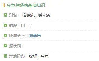 提供幾張豎鱗病的圖片，魚豎鱗病怎么治