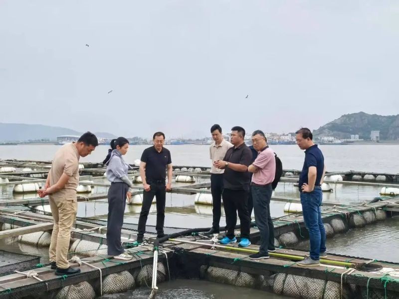 什么藥毒魚(yú)最厲害，毒魚(yú)的最狠農(nóng)藥