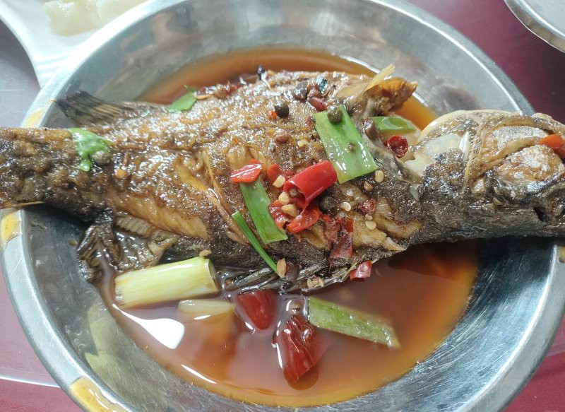 鹽亭龍魚店，鹽亭縣子龍魚莊（鹽亭店）從一萬元起家把象征吉祥和財富賣得風生水起精良故事局pro