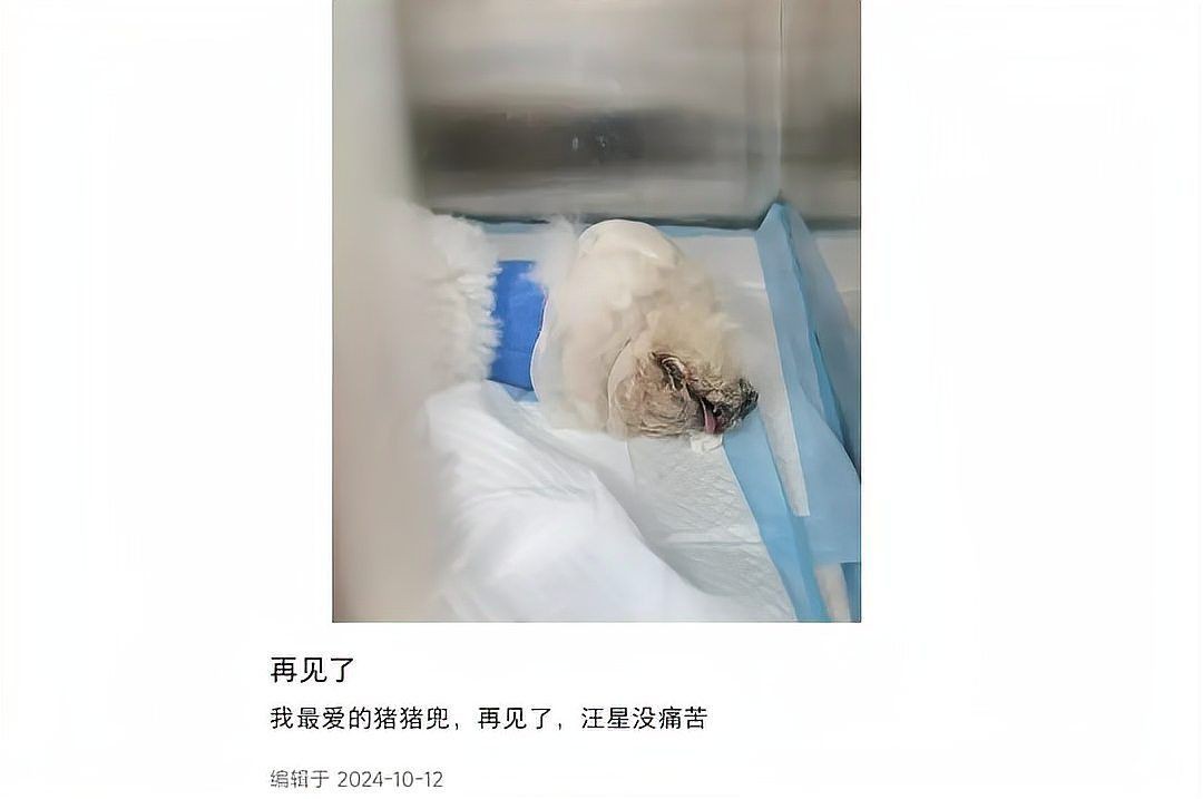 有沒有成功案例？，十大成功商業(yè)案例