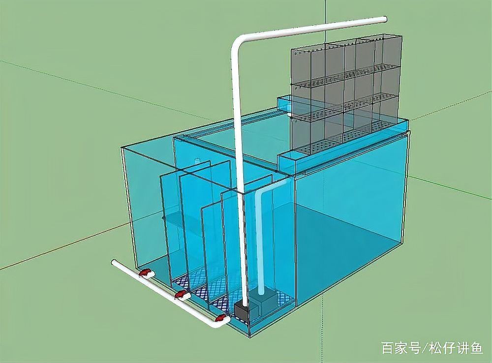 棗莊魚缸定做，棗莊地區(qū)的魚缸定做服務(wù)日益專業(yè)化與多樣化滿足不同場景需求