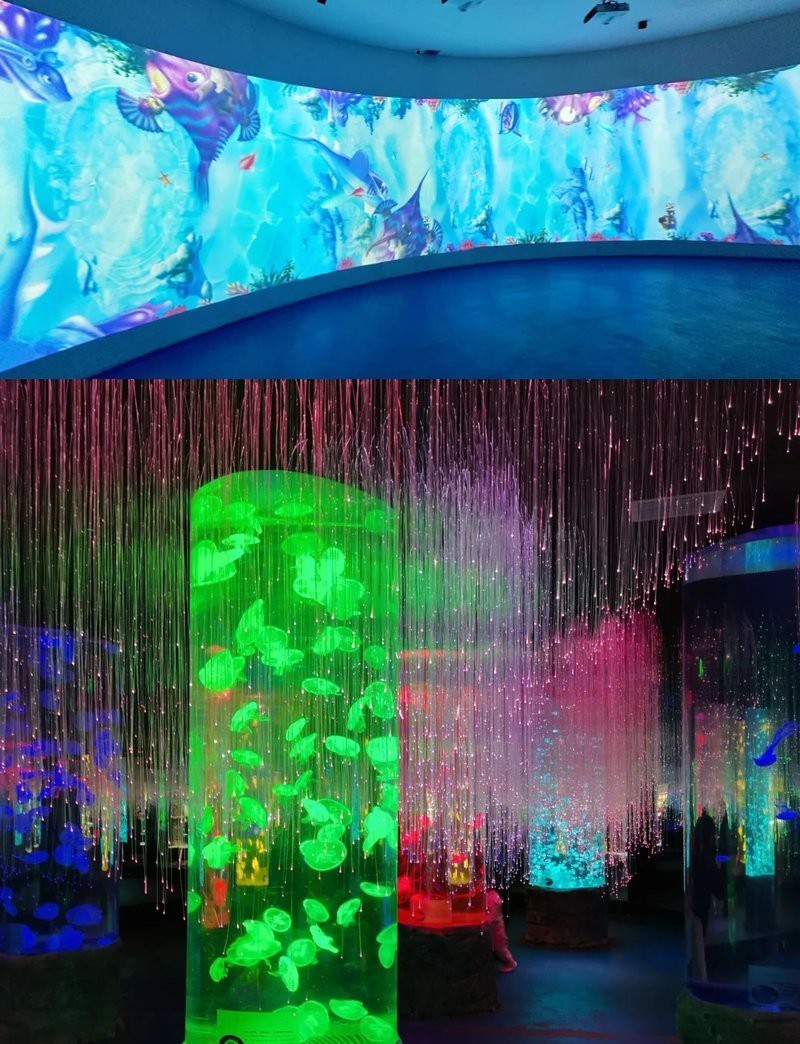 豐臺水族店，北京豐臺水族市場