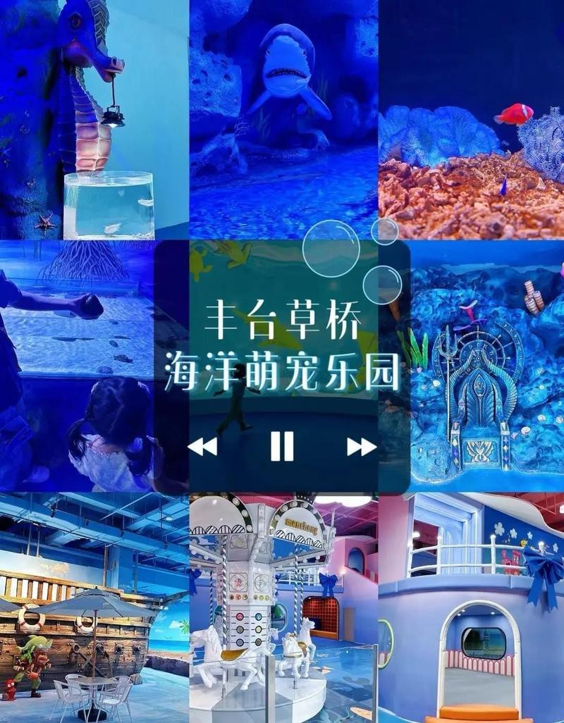 豐臺水族店，北京豐臺水族市場