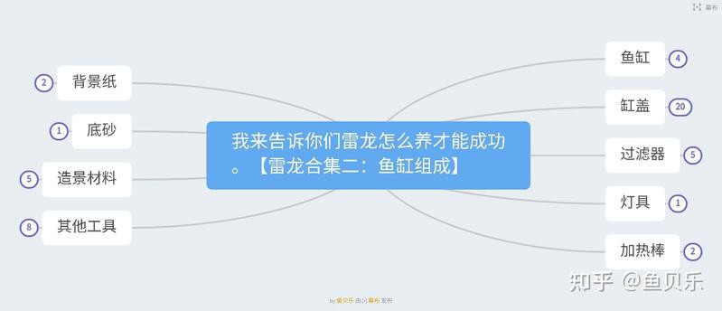 養(yǎng)雷龍缸的10大忠告，《養(yǎng)雷龍缸的10大忠告》飼養(yǎng)成功率不足20龍缸的10大忠告