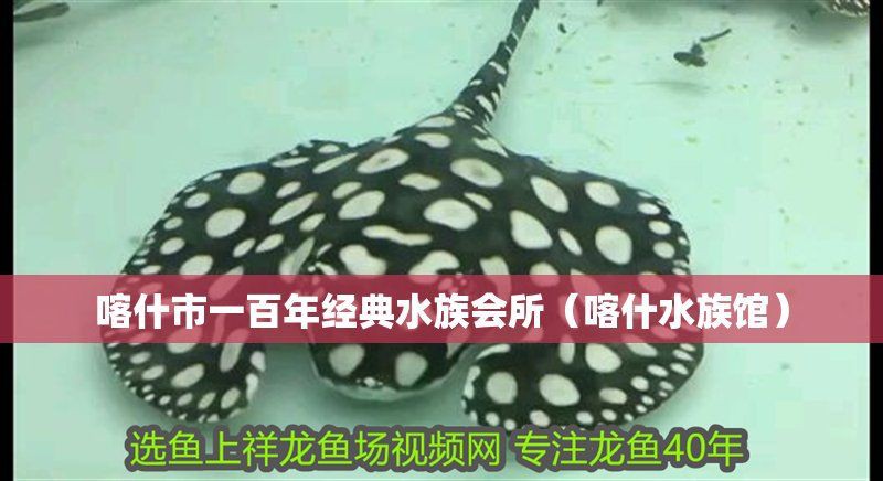 喀什水族館，喀什的水族館為當地居民提供了多樣化的地下暗河地下體驗
