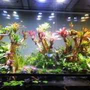 喀什水族館，喀什的水族館為當地居民提供了多樣化的地下暗河地下體驗