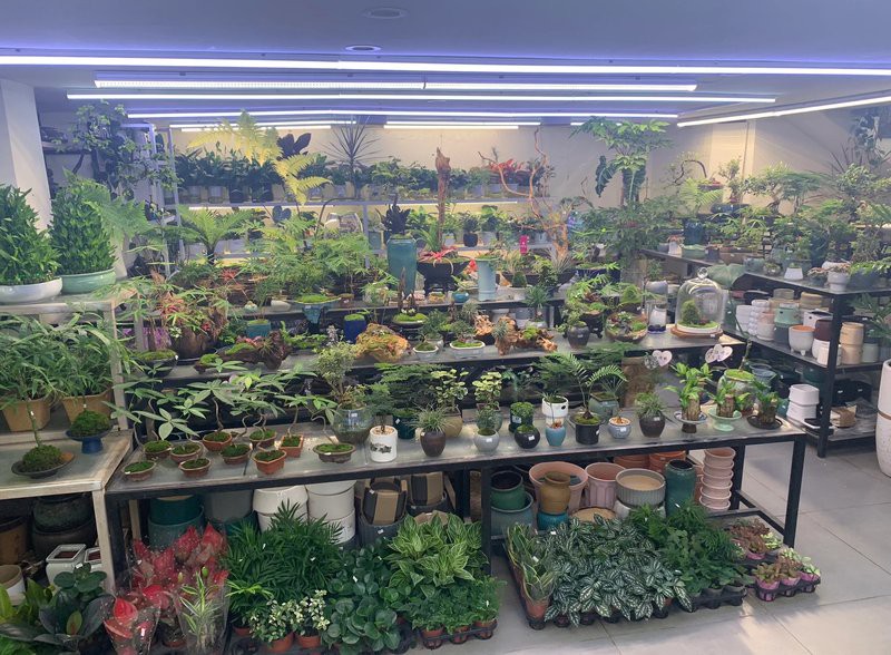 普安水族店，普安有哪些特色水族產(chǎn)品