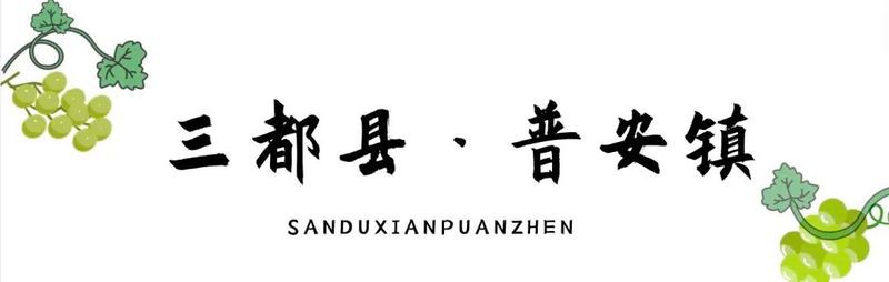 普安水族店，普安有哪些特色水族產(chǎn)品
