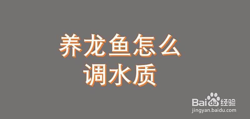 如何設置龍魚魚缸的水質參數？，如何設置龍魚魚缸的水質參數