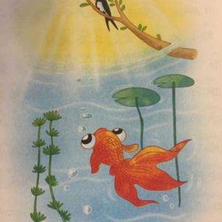 玫瑰和金魚圖片，《玫瑰和金魚圖片》獨特的“玫瑰和金魚圖片”將兩種截然不同的元素巧妙融合