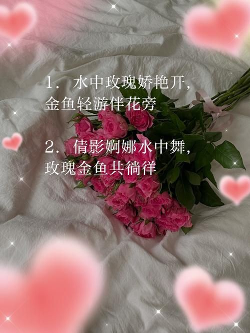 玫瑰和金魚圖片，《玫瑰和金魚圖片》獨特的“玫瑰和金魚圖片”將兩種截然不同的元素巧妙融合