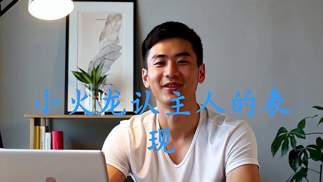 哪些小火龍魚品種容易認主？，如何訓練小火龍魚認主？