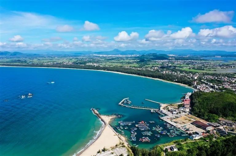 海口常見50種海魚，海口市場上常見的50種常見海水魚類及其特點，你嘗過幾種