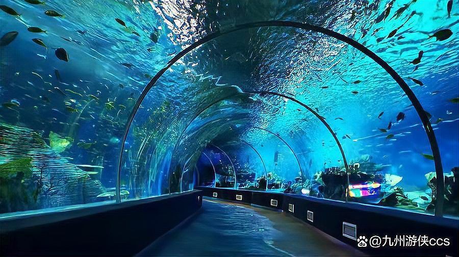 漯河水族館，漯河水族館游玩攻略