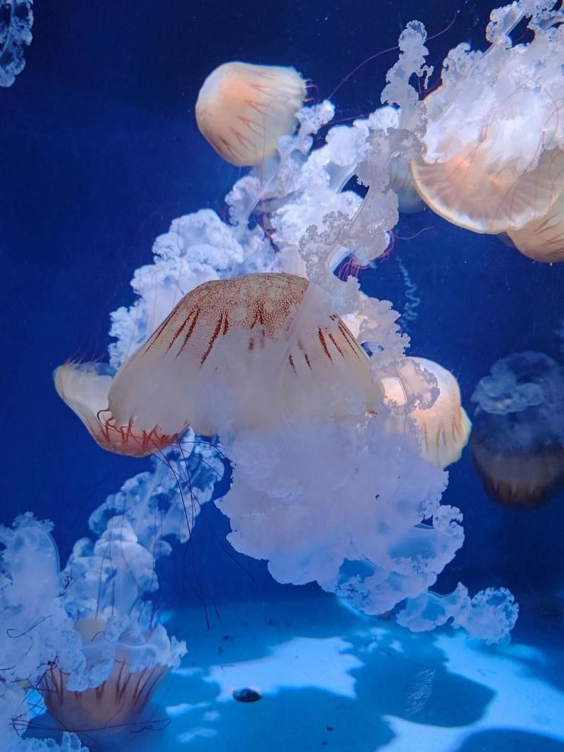 漯河水族館，漯河水族館游玩攻略