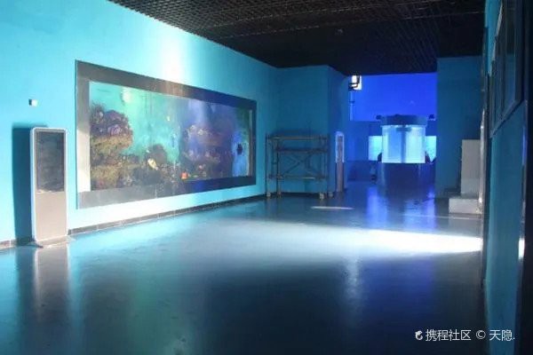 徐州水族店，徐州云龍湖水族館探秘之旅小樹精tracy海草球