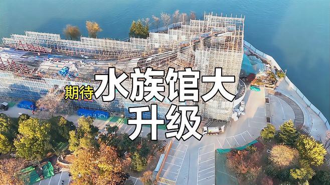 徐州水族店，徐州云龍湖水族館探秘之旅小樹精tracy海草球