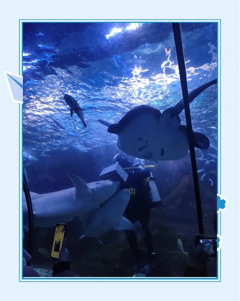 徐州水族店，徐州云龍湖水族館探秘之旅小樹精tracy海草球