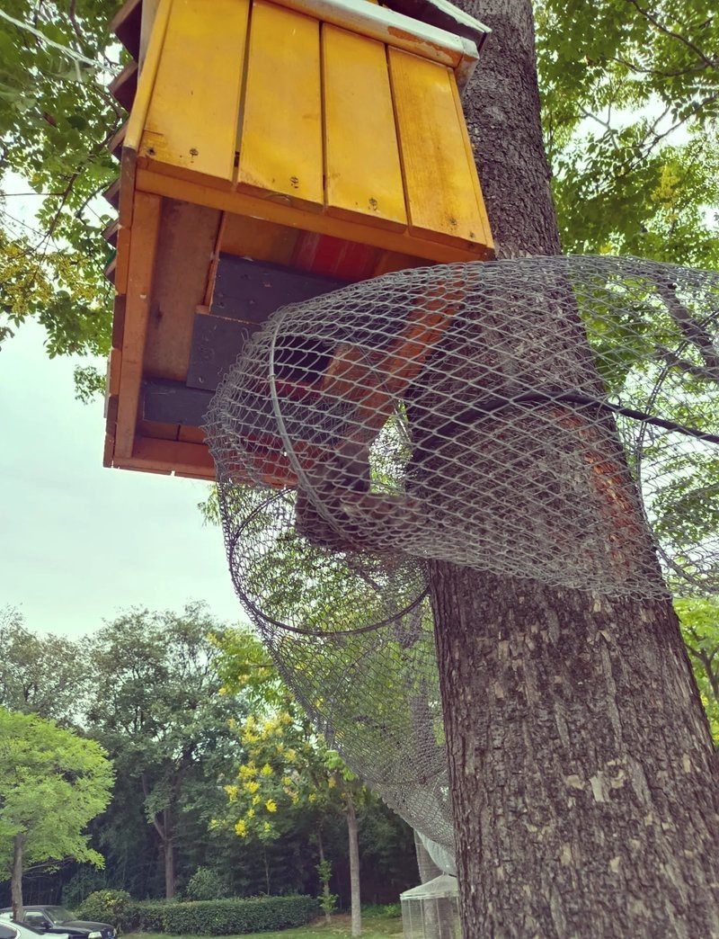 徐州水族店，徐州云龍湖水族館探秘之旅小樹精tracy海草球
