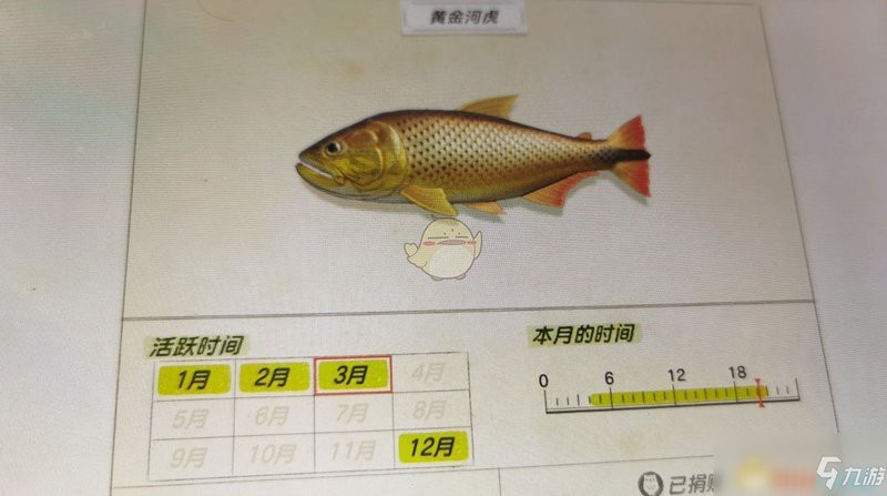 動森黃金河虎怎么獲得，《動物森友會》速刷黃金河虎技巧分享