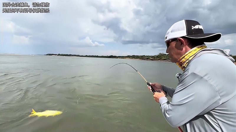 動森黃金河虎怎么獲得，《動物森友會》速刷黃金河虎技巧分享