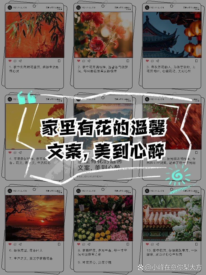 家花最經典十句話，《家花最經典十句話》《家花最經典十句話》聚焦“家花”
