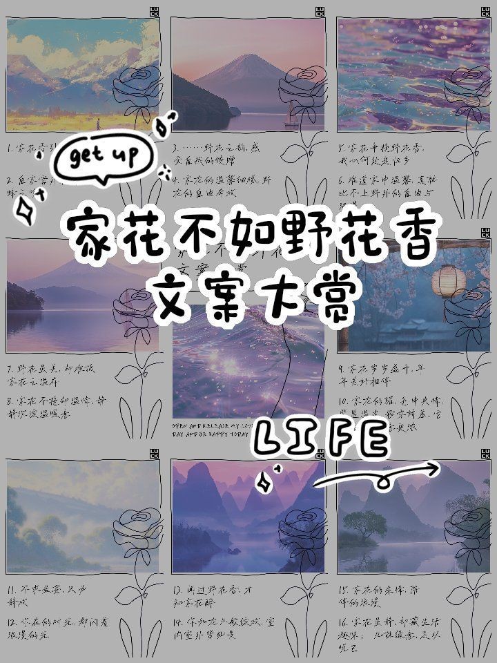 家花最經典十句話，《家花最經典十句話》《家花最經典十句話》聚焦“家花”